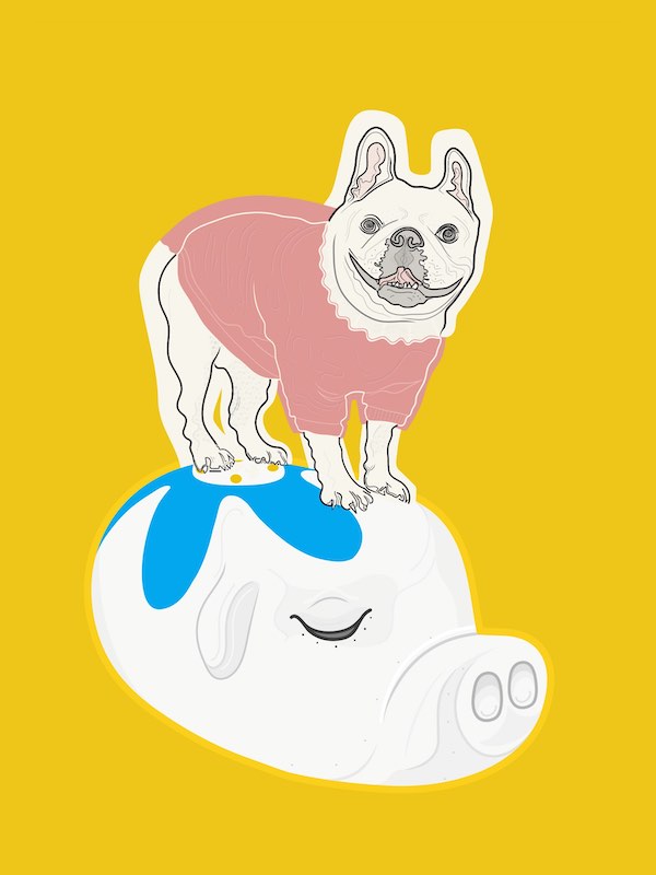 Illustration of a french bulldog