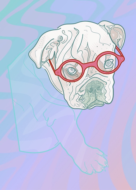 Illustration of a Bulldog wearing eyeglasses