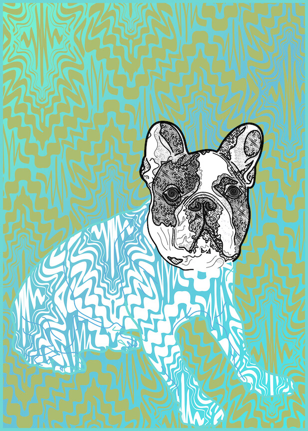 Illustration of a french bulldog